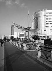 梨树公司注册
